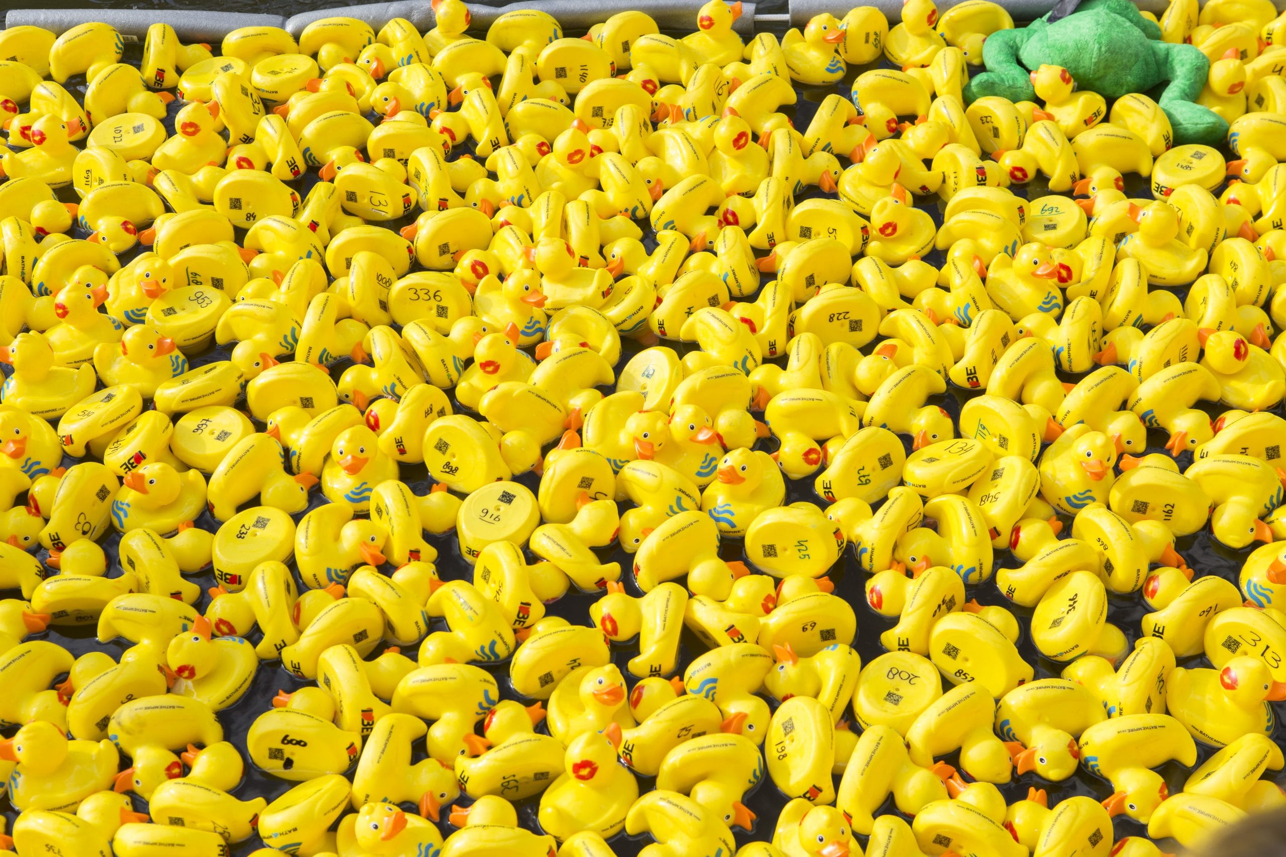 Badeentjesrace Opkikker
