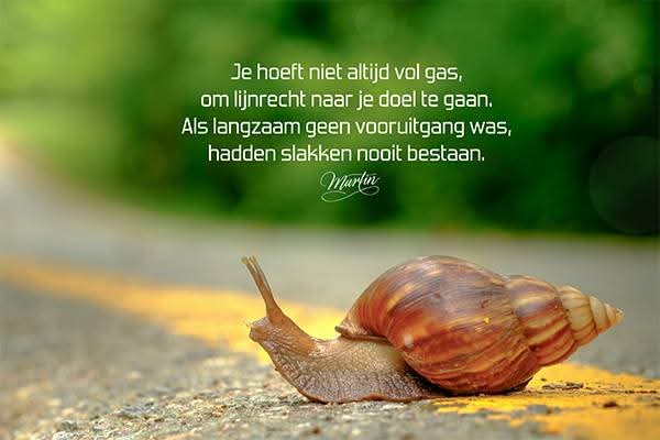 Inzending van Joyce Adriaansen/ Kay van Kleef